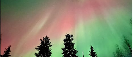 Northern Lights above the property!
