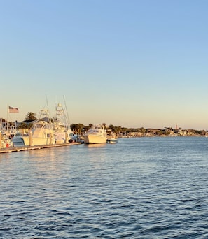 Walk to the Halifax River for fishing or sunsets.