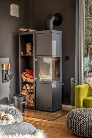 Kaminofen im Wohnzimmer