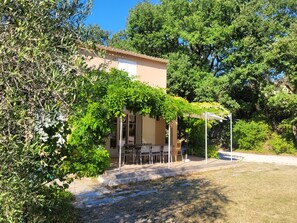 Terrasse à l'ombre de la glycine