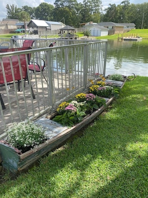 Colorful mums to enjoy by the dock.
