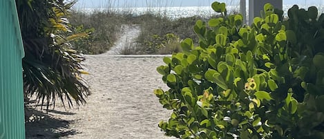 path from cottage to the beach