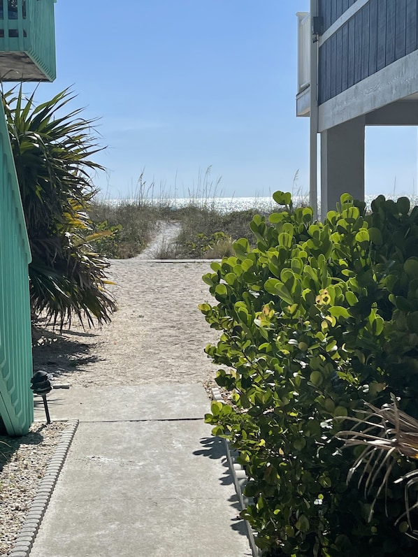 path from cottage to the beach