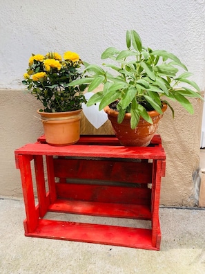 Détail de l’intérieur