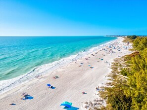 Our beach