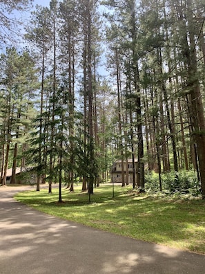 The long drive provides seclusion for the property.