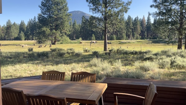 Views of the back deck of glaze meadow, black butte, and wildlife 