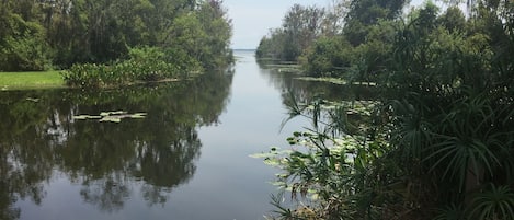 View to the Southeast, down the canal to Lake Griffin