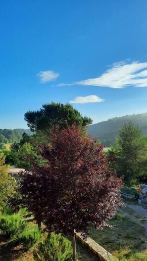 Vue de la fenêtre d'une des chambres