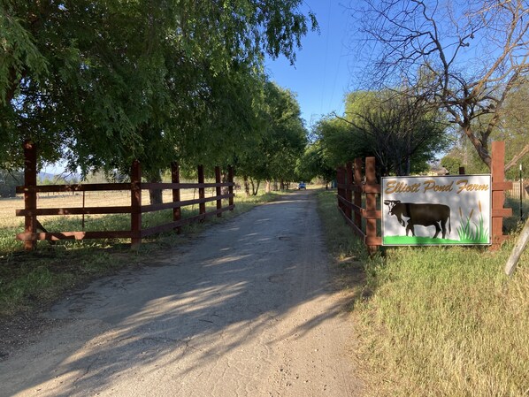 Property grounds
