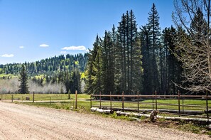 Neighborhood | Tucked Away, Forested Location | Pet Friendly w/ Fee
