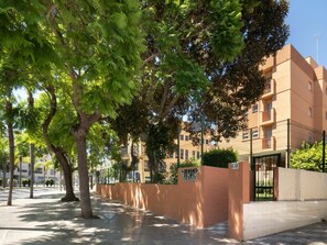 Plant, Building, Shade, Road Surface, Window, Tree, Sunlight, Urban Design, Neighbourhood, Residential Area