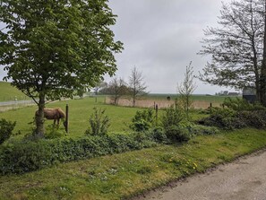 Blick zum Deich