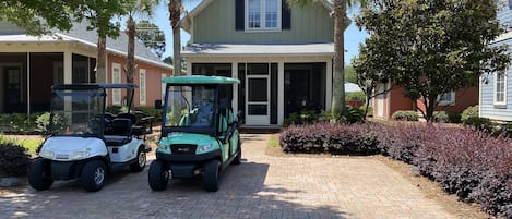 4 & 6 Seater Golf Carts