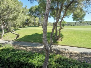 Magnifiques vues depuis la terrasse sur le golf de Las Ramblas