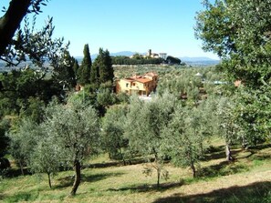 Environnements directs du logement. La ferme Podere Pilar