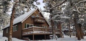 Cozy snow covered Hideaway, perfect for you winter getaway!