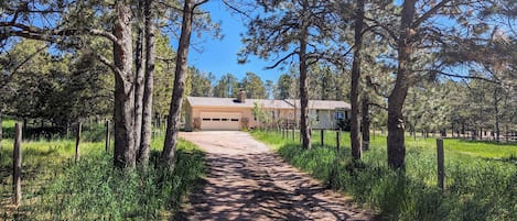 Driveway Pine Ranch