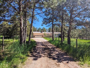 Driveway Pine Ranch