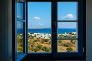 View from the house