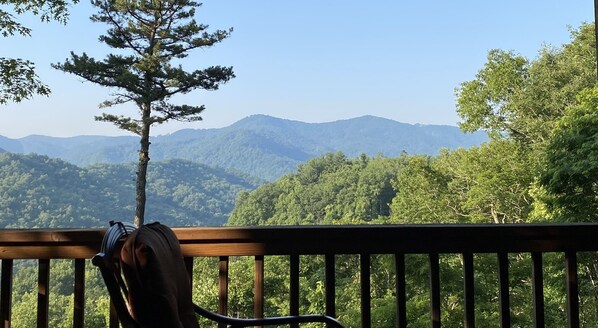 Paradise found: Serene mountain views from our cabin's enchanting deck!"