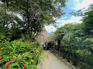 Garden Path to Palapa One 