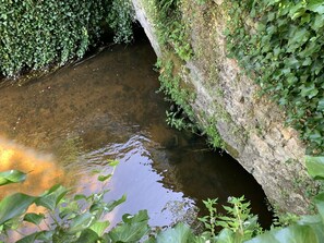 Canal du Bandiat