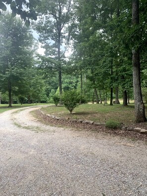 The road / drive up to the cabin