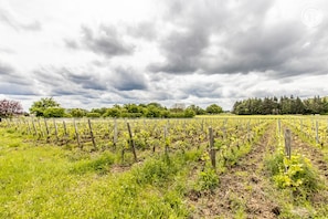 Overnatningsstedets område