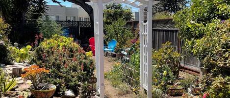 Mature garden with BBQ and sitting areas. California succulents.