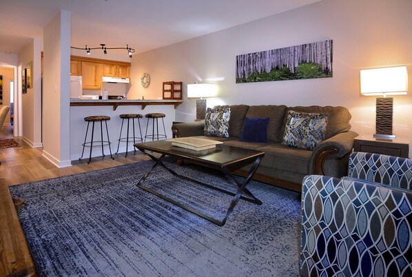 Living room w/new queen pullout couch