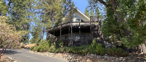 Spectacular family "Mountain House"