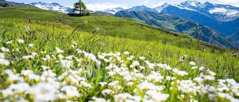 Orcières, petit coin de paradis 