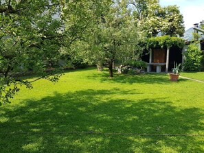 Bild 7