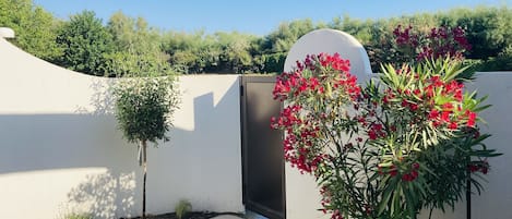 Situation privilégiée de notre maison, en premiÚre ligne exposée sud, en angle !