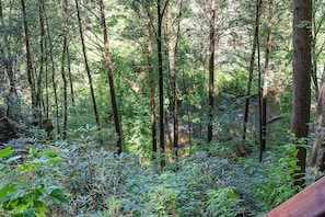 Hazy Hideaway - Entry Level Deck View of Creek