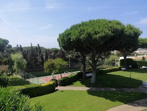 Terrain de sport