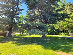 Boendeområde