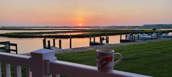 Morning coffee on the deck