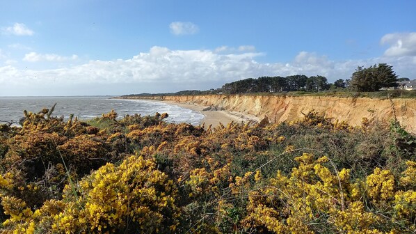 Strand