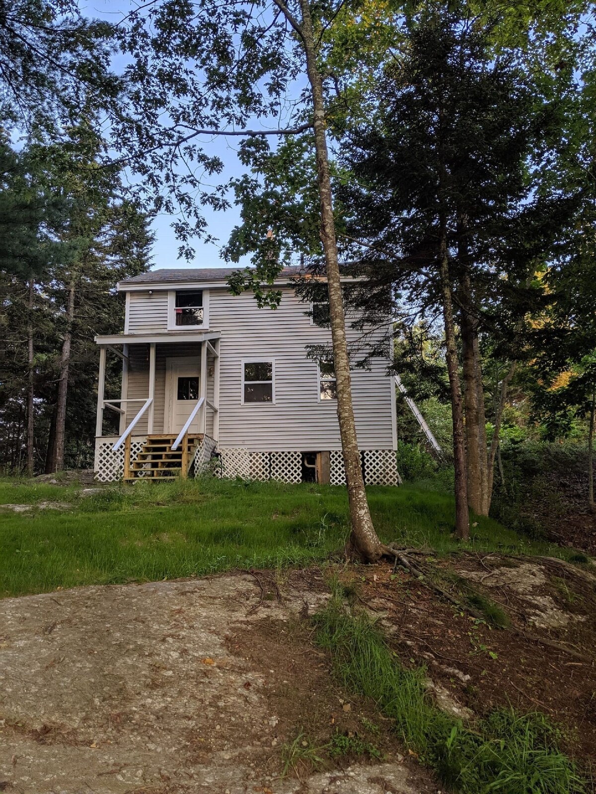 Main Image