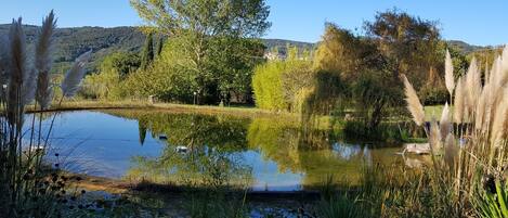 Jardines del alojamiento