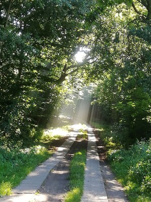 auf dem Weg