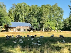 The lakehouse setting in the pastoral landscape.