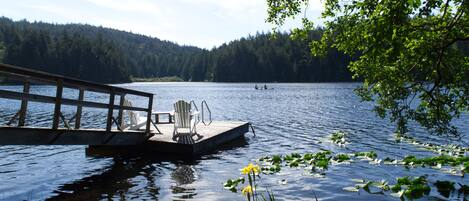 Private dock. A great spot to launch your paddle board or go in for a swim.