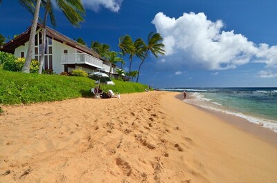 Kauai's most beautiful beach just across the lawn.