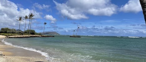 Magical views from the beach within steps from the condo