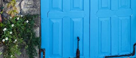 Main Entrance Door