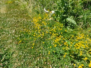 Terrain de l’hébergement 