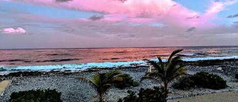 Cottage Ocean View